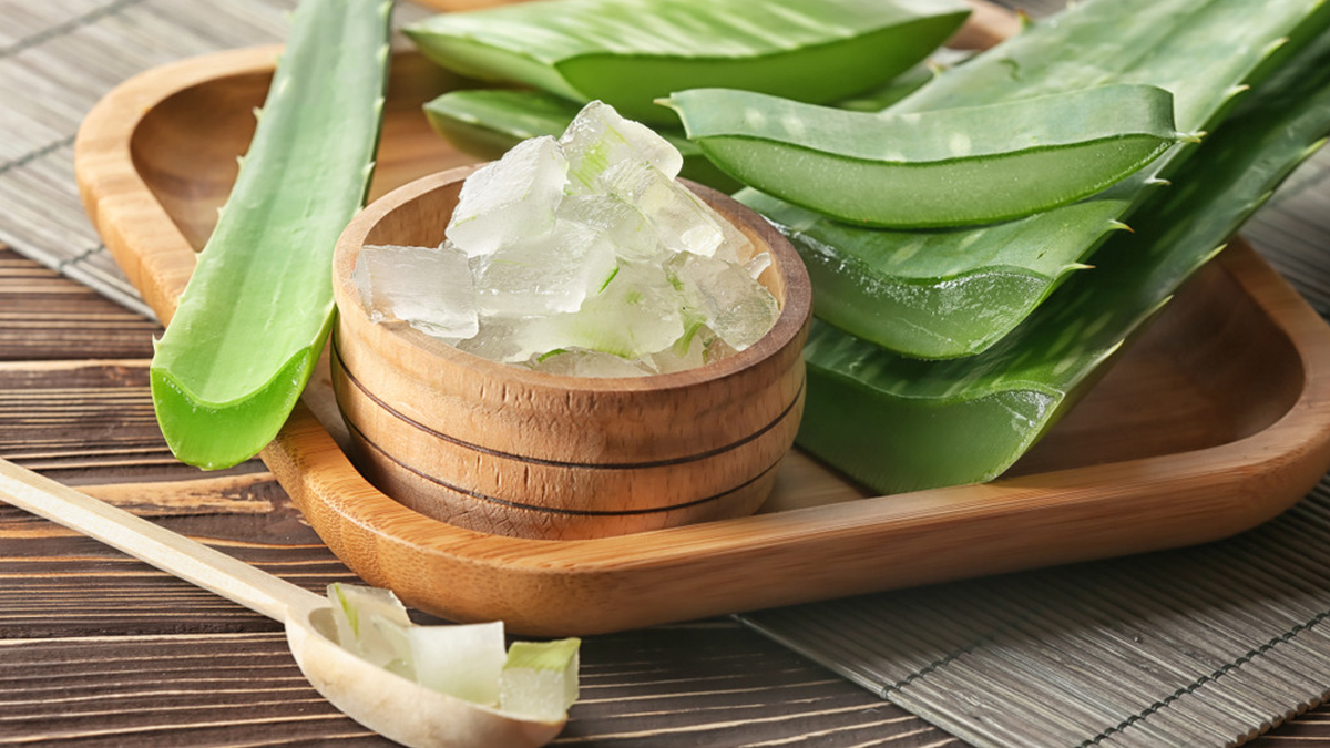 creme hydratante aloe vera Messgu Feuchtigkeitscreme Aloe Vera BIO 150 ml  die Naturcosmetic